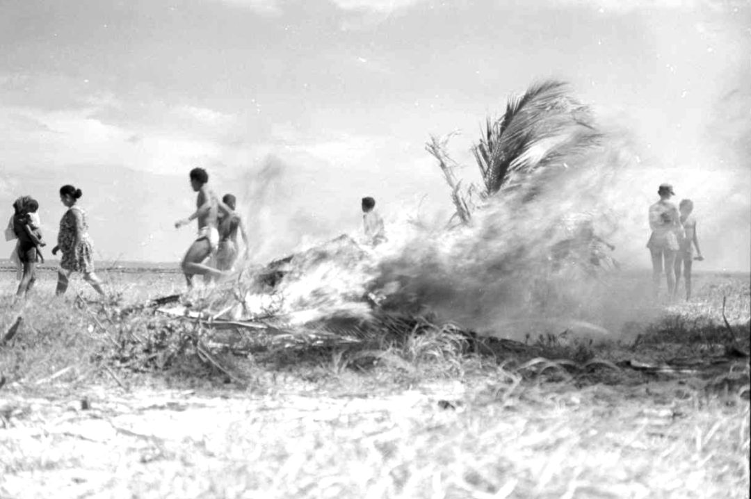 Festeiros assando ouriços com palha de coqueiro, na Ilha de Cocaia.